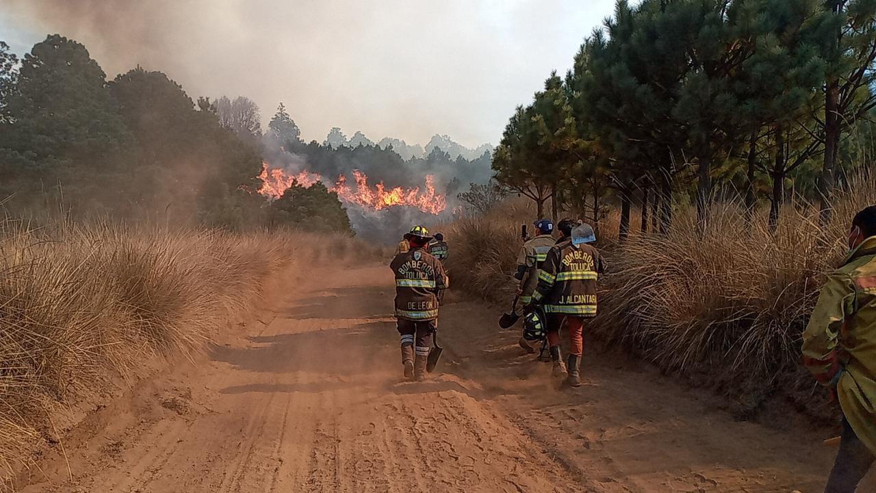 Actualizaci N Contin An Brigadas De Trabajadores Combatiendo Incendio