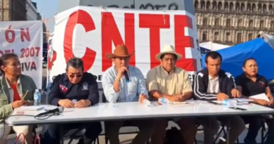 Sin represión, la CNTE no tiene futuro