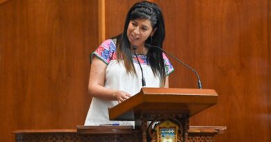 Homologar imagen de corporaciones policíacas, plantea Nelly Rivera