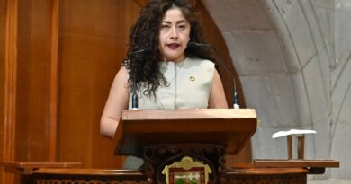 Gratuidad en transporte a grupos vulnerables: propone Sofía Martínez