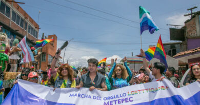 En Metepec, música, baile, fiesta y color en la Marcha del orgullo LGBTTTQANB+ 2025