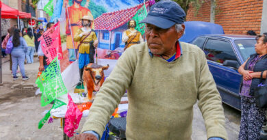 Galería fotográfica del último Paseo en 2025 en honor al santo patrono de la agricultura San Isidro Labrador en San Miguel Totocuitlapilco en el mágico Metepec