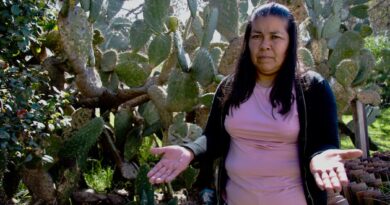 Guadalupe, sentenciada a 50 años por solicitar pensión alimenticia para sus dos hijos