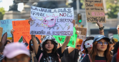 De las carpetas abiertas en contra de organizadores de las movilizaciones