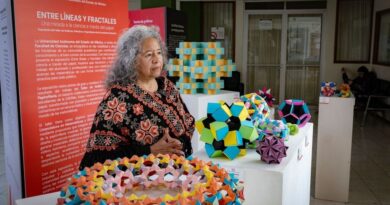 ‘Entre líneas y fractales’: la Facultad de Ciencias de la UAEMéx exhibe 21 obras de papiroflexia que unen arte y matemáticas