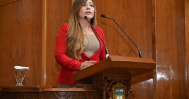 Atención psicológica permanente y gratuita en escuelas: Yareli Esparza