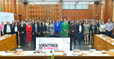 Necesario poner en la agenda la maternidad subrogada: diputadas