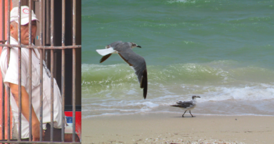 Buen vivir comunitario, una necesidad