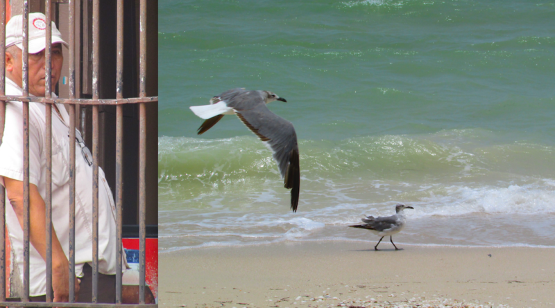 Buen vivir comunitario, una necesidad