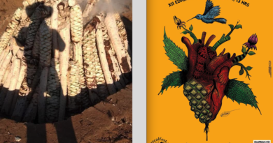 MEZCALFEST.MX inaugura su primera galería presentando un diálogo visual con la cultura de los destilados