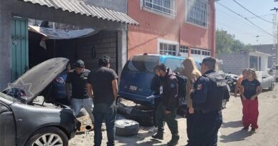 En Ecatepec Gobierno suspende bodega de reciclaje que generaba fauna nociva