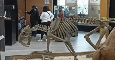 Gobierno de Ecatepec difunde historias del Dios del Viento