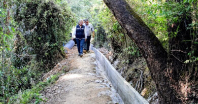 Respalda Gobierno de Delfina Gómez a más de 300 productores de flor y fresa de Villa Guerrero: mejora infraestructura para llevar agua a sus cultivos