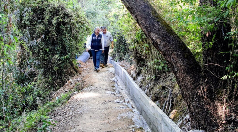 Respalda Gobierno de Delfina Gómez a más de 300 productores de flor y fresa de Villa Guerrero: mejora infraestructura para llevar agua a sus cultivos
