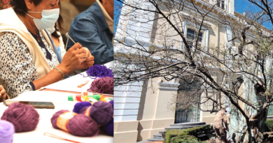 Tejen redes universitarias para abrazar al Árbol de la Mora de la UAEMéx en el marco del 8M