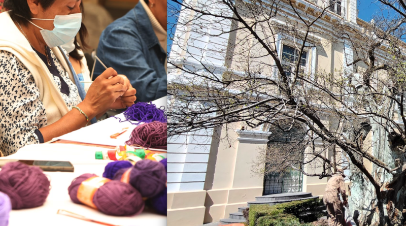 Tejen redes universitarias para abrazar al Árbol de la Mora de la UAEMéx en el marco del 8M