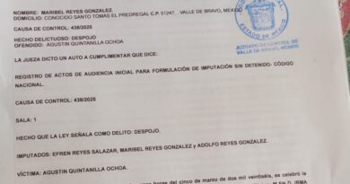 “En Valle de Bravo hemos sufrido acoso institucional, persecusión judicial, amagos de todo tipo, presión psicológica y económica”: Maribel Reyes González