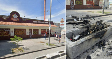 Drones alemanes en México: la conexión oculta entre militares ucranianos y los cárteles