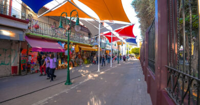 Gobierno de Delfina Gómez construye ciudades incluyentes; realiza conversatorio y destaca la participación de las mujeres en esta labor