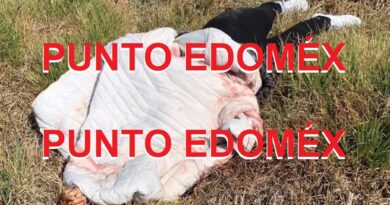 Arrojaron cuerpo de mujer desde un auto Versa, en límites de Lerma y Xonacatlán