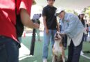 Durante la Semana de Bienestar Animal “Huellitas de Amor” se rompió récord en esterilizaciones de perritos y gatitos