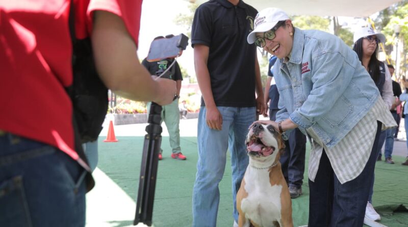 Durante la Semana de Bienestar Animal “Huellitas de Amor” se rompió récord en esterilizaciones de perritos y gatitos