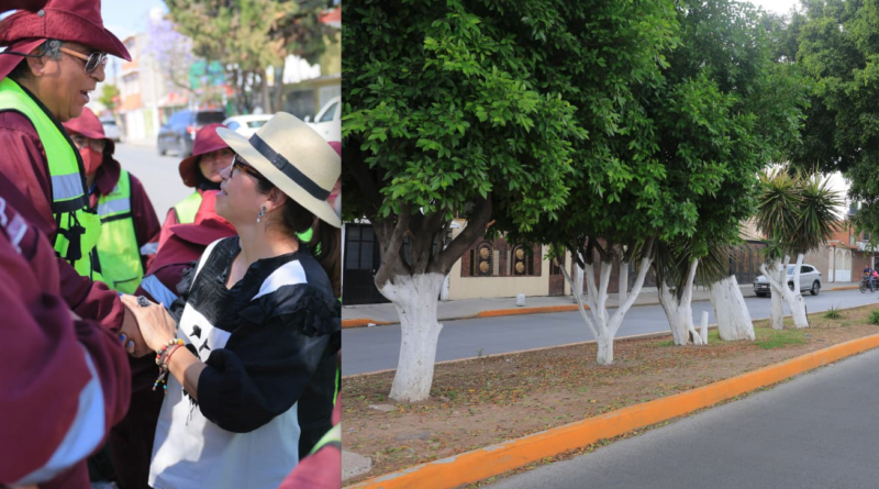 En Ecatepec limpiando la casa, se recuperan 150 kilómetros de camellones en los primeros 100 días de 2026: Azucena Cisneros