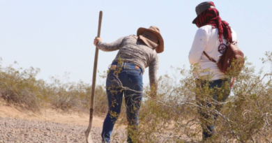 La infamia «humanista» sobre las personas desaparecidas…