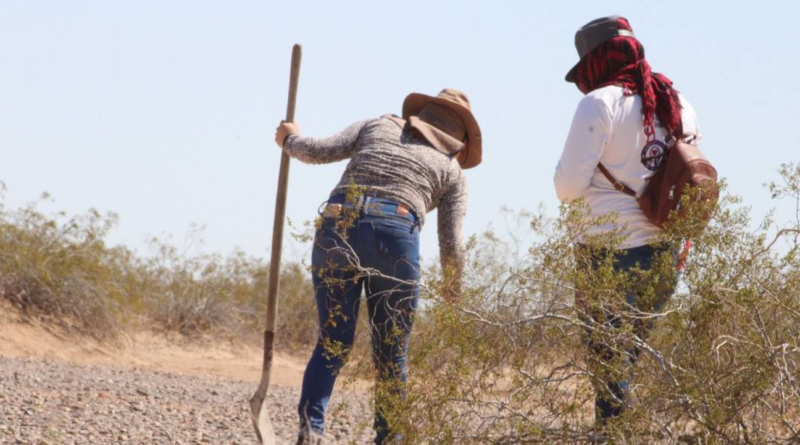 La infamia «humanista» sobre las personas desaparecidas…