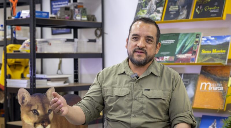 Murciélagos, aliados invisibles para la agricultura y el equilibrio ambiental