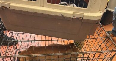 Investigan maltrato animal en veterinaria de Ciudad Azteca