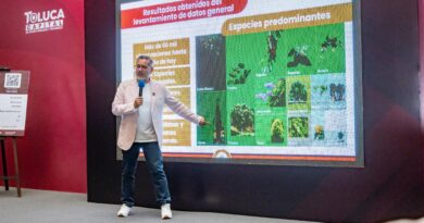 En marcha restauración de arbolado urbano, se plantaran más de 30 mil árboles nativos