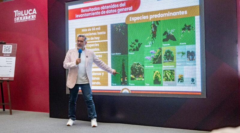 En marcha restauración de arbolado urbano, se plantaran más de 30 mil árboles nativos