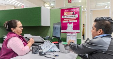 “¡Di No al Coyotaje!”: consulta la ubicación de los Centros de Servicios Administrativos y realiza trámites seguros y sin intermediarios