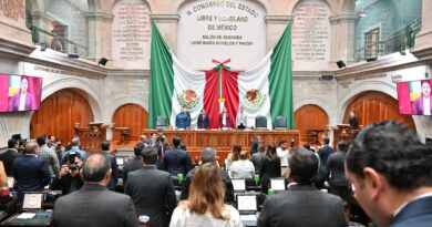 Integra el Congreso comisiones de bienestar animal y amnistía