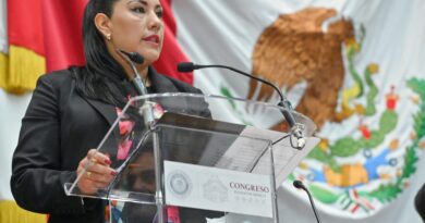 Congreso participa en transformación del Estado mexicano: Martha Camacho