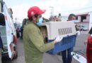 ¡En Edoméx, alto al maltrato de seres sintientes!