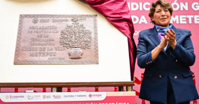 Obtiene Metepec Declaratoria de Indicación Geográfica Protegida del “Árbol de la Vida”