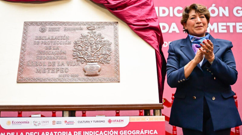 Obtiene Metepec Declaratoria de Indicación Geográfica Protegida del “Árbol de la Vida”
