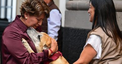 Presenta Gobernadora Delfina Gómez acciones “Por los que no tienen voz”; entra en vigor Ley de Protección, Cuidado y Bienestar Animal del EdoMéx
