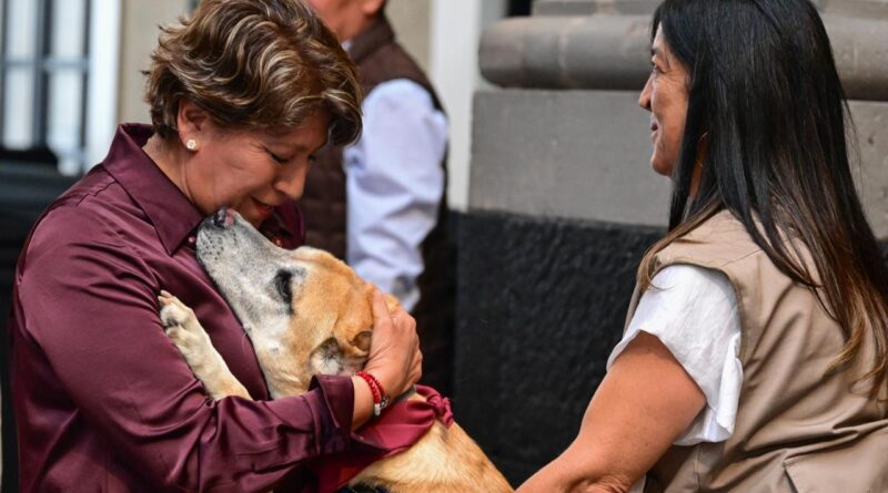 Presenta Gobernadora Delfina Gómez acciones “Por los que no tienen voz”; entra en vigor Ley de Protección, Cuidado y Bienestar Animal del EdoMéx