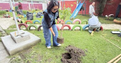 En Toluca arbolado urbano, recuperación de pulmones verdes en la ciudad