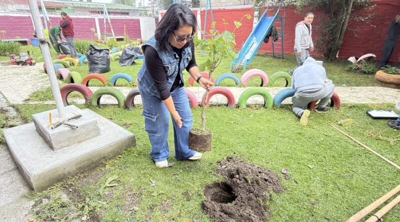 En Toluca arbolado urbano, recuperación de pulmones verdes en la ciudad